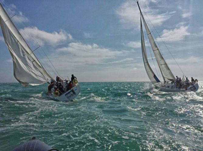 great escape yacht race