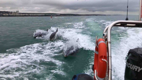 level 2 powerboat course brighton