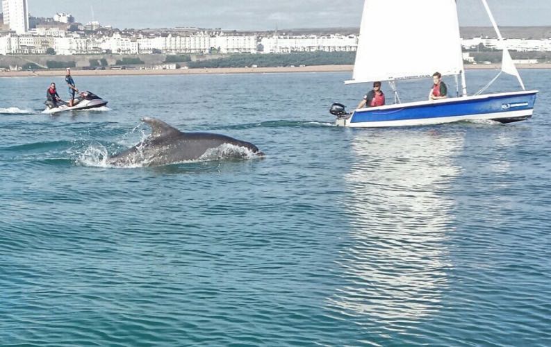 powerboat course brighton